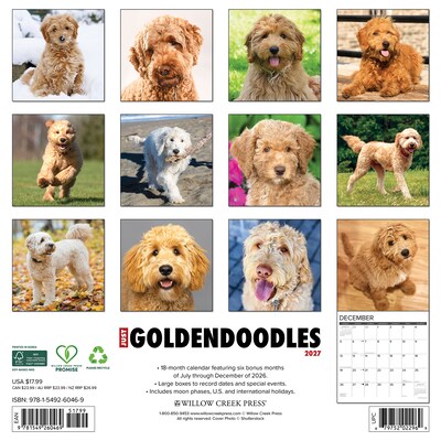 2027 Willow Creek Goldendoodles  12 x 12 Monthly Wall Calendar (60469)
