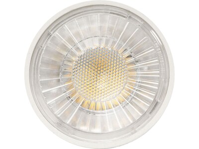 Viribright 7-Watts Soft White LED Floodlight Bulb, 6/Box (450161-ES)