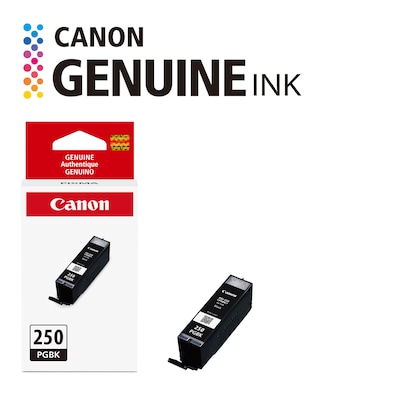Canon 250 Black Standard Yield Ink Cartridge (6497B001)