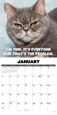 2027 Willow Creek Crabby Cats 12" x 12" Monthly Wall Calendar (65167)