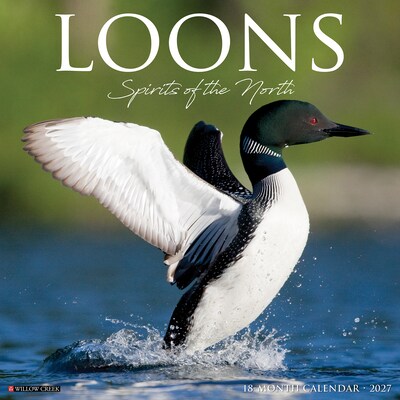 2027 Willow Creek Loons 12 x 12 Monthly Wall Calendar, Assorted Colors (61107)