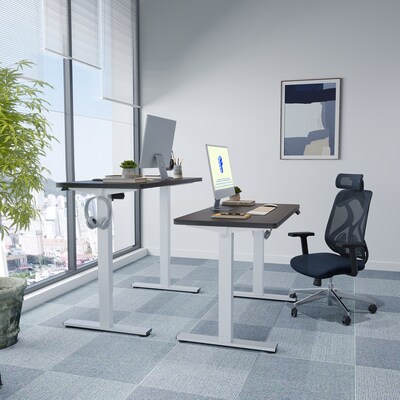 FlexiSpot E2 48''W Electric Adjustable Standing Desk, Black/White (E2W4824B)