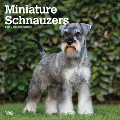 2025 BrownTrout ature Schnauzers 12 x 12 Monthly  Wall Calendar (9781975477684)