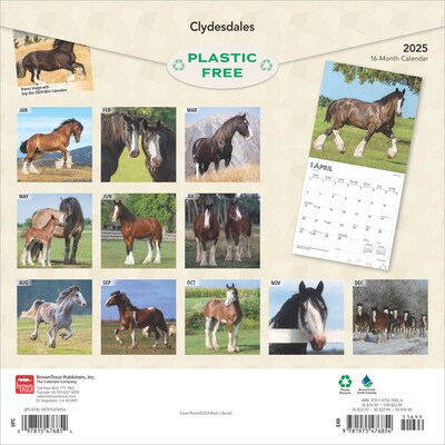 2025 BrownTrout Clydesdales 12 x 12 Monthly  Wall Calendar (9781975476854)