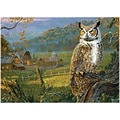 Willow Creek Edge of the Night 1000-Piece Jigsaw Puzzle (48796)