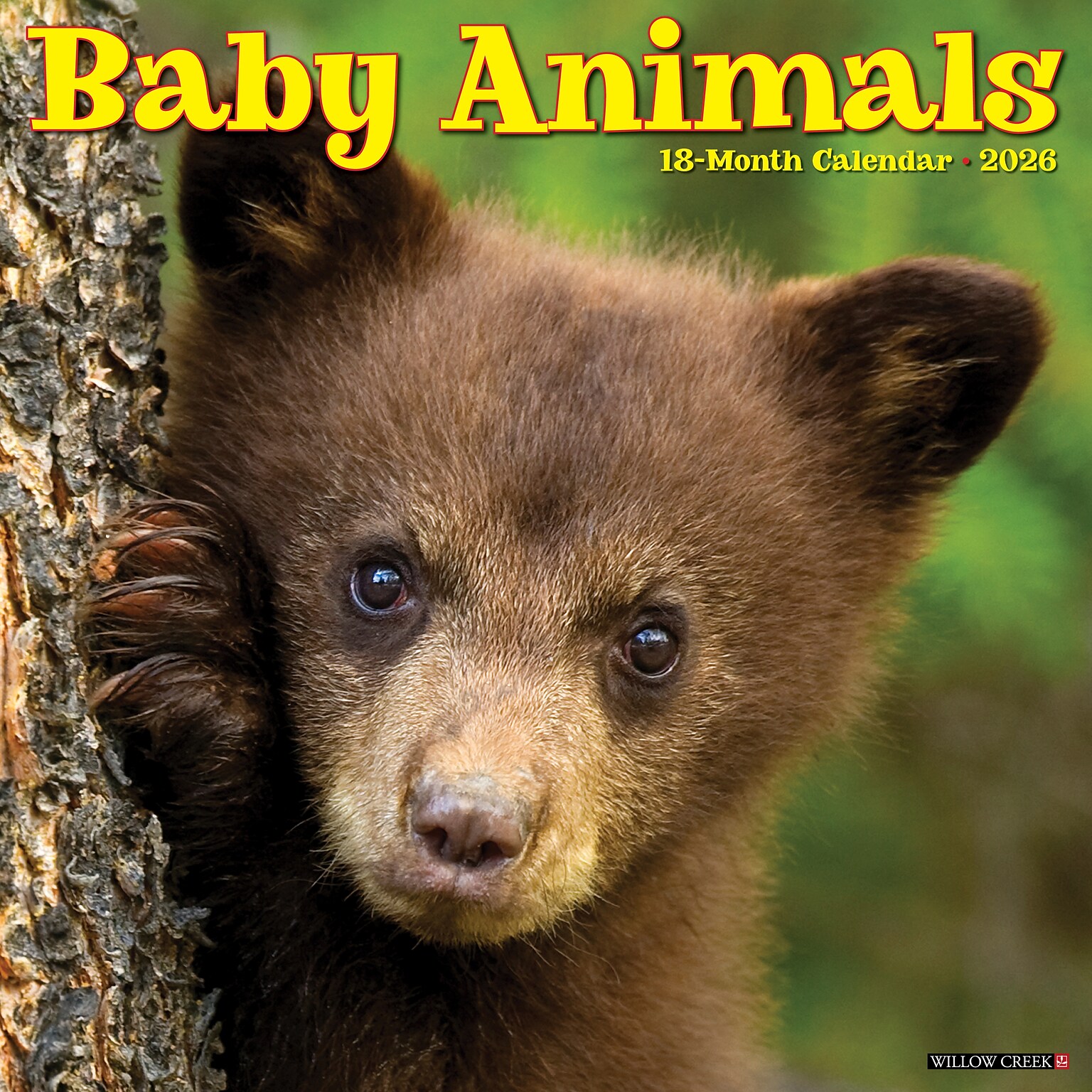 2026 Willow Creek Baby Animals 12 x 12 Monthly Wall Calendar (50002X)