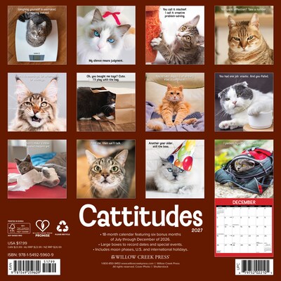 2027 Willow Creek Cattitudes 12 x 12 Monthly Wall Calendar, Assorted Colors (59609)