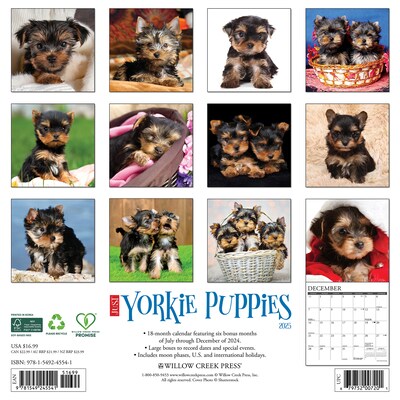 2025 Willow Creek Yorkie Puppies 12 x 12 Monthly Wall Calendar (45541)