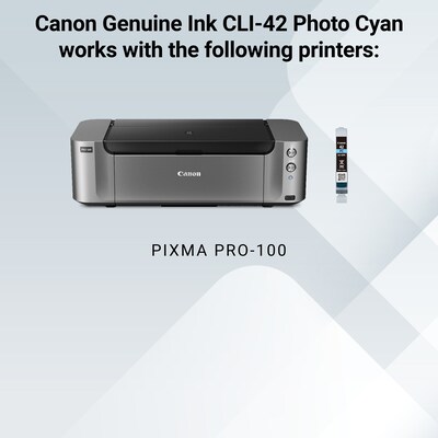 Canon 42 Photo Cyan Standard Yield Ink Cartridge (6388B002)