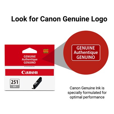 Canon 251 Gray Standard Yield Ink Cartridge  (6517B001)