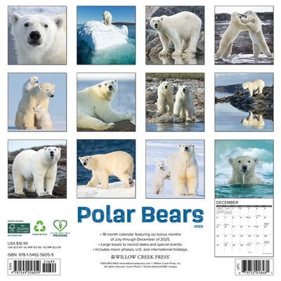 2026 Willow Creek Polar Bears 12 x 12 Monthly Wall Calendar (56059)