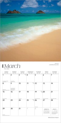 2026 BrownTrout Hawaii Wild & Scenic 12" x 12" Monthly Wall Calendar (9798330703609)