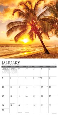 2027 Willow Creek Ah, The Beach! 12" x 12" Monthly Wall Calendar, Assorted Colors (58657)