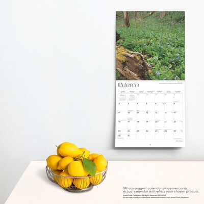2025 BrownTrout Ohio Nature 12" x 12" Monthly Wall Calendar (9781975475468)