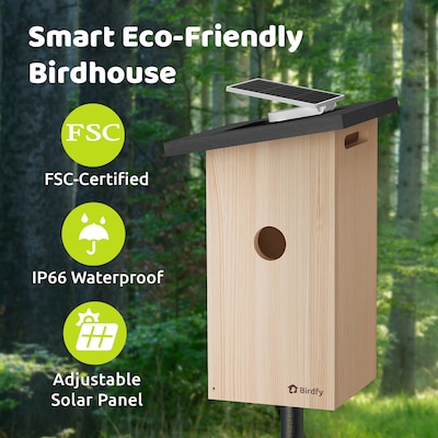 Birdfy Nest Ebony Birdhouse with Camera, Solar Panel and AI by Subscription, Multicolored (EPPAMBNI8802110)