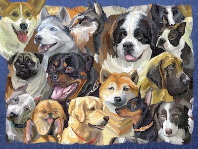 Parragon 500 Piece Puzzle Cats and Dogs