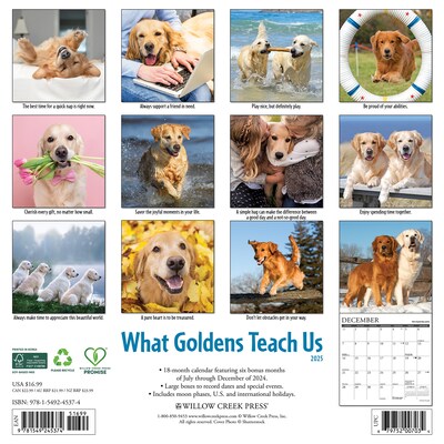 2025 Willow Creek What Goldens Teach Us 12 x 12 Monthly Wall Calendar (45374)