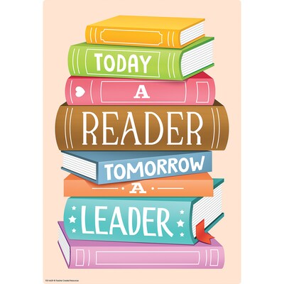 Teacher Created Resources 11" x 15-3/4" Reading Is Fun Small Poster Pack, 12/Pack (TCR6629)