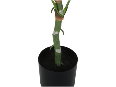 Monarch Specialties Inc. Dieffenbachia Tree in Pot (I 9519)