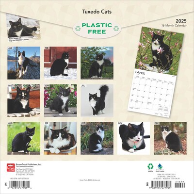 2025 BrownTrout Tuxedo Cats 12 x 12 Monthly Square Wall Calendar (9781975477905)