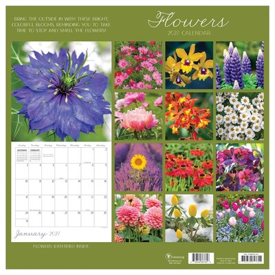 2027 TF Publishing Flowers 10" x 12" Monthly Wall Calendar, Multicolored (27-1034)