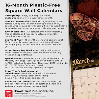 2026 BrownTrout Gothic Alchemy 12" x 12" Monthly Wall Calendar (9798330701292)