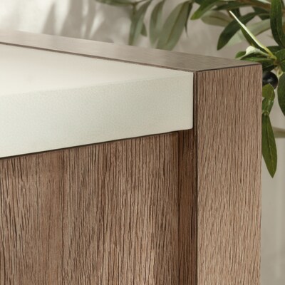 Sauder Dixon City 30"H Storage Credenza with 2 Shelves, Brushed Oak (432894)