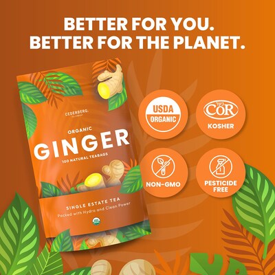Cederberg Tea Company Organic Ginger Herbal Tea, Caffeine Free, 100 Tea Bags/Pack (CT-GING)