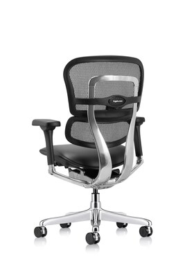 Eurotech Ergohuman Gen2 Mid Back Mesh Office Chair, Black (LEM6ERGLO-GEN2)