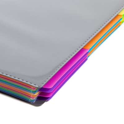 Smead 24-Pocket Poly Project Organizer with Multicolor Dividers, Gray (89206)