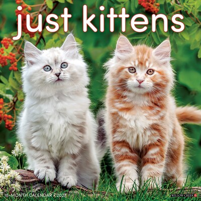2027 Willow Creek Kittens 12 x 12 Monthly Wall Calendar, Assorted Colors (60933)