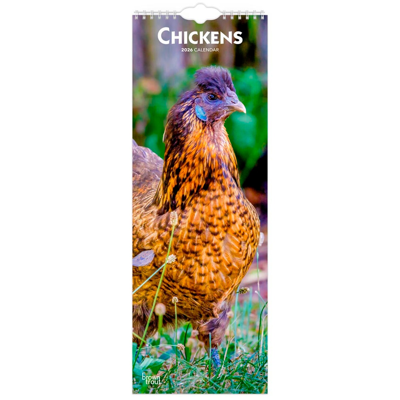 2026 BrownTrout Chickens 5.88 x 16.5 Monthly Wall Calendar (9798330702893)