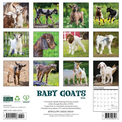 2025 Willow Creek Baby Goats 12 x 12 Yearly Wall Calendar (41536)