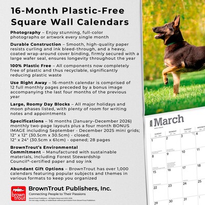 2026 BrownTrout Belgian Malinois 12" x 12" Monthly Wall Calendar (9798330707881)