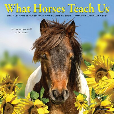 2027 Willow Creek What Horses Teach Us 7 x 7 Monthly Wall Calendar, Assorted Colors (64290)