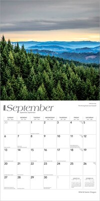 2026 BrownTrout Oregon Wild & Scenic 12" x 12" Monthly Wall Calendar (9798330705009)