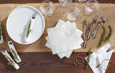 Vanity Fair Entertain Beverage Beverage Napkin, 2-ply, White, 40 Napkins/Pack, 12/Carton (35134)