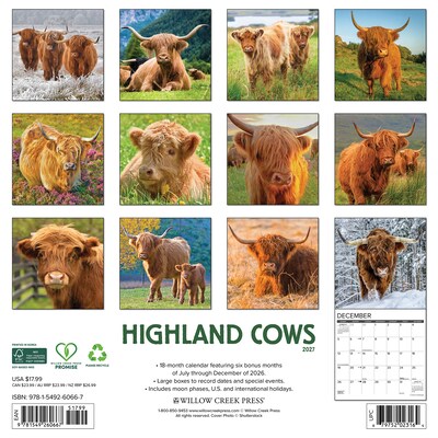 2027 Willow Creek Highland Cows 12 x 12 Monthly Wall Calendar, Assorted Colors (60667)