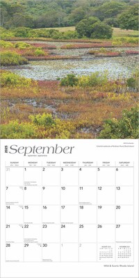 2025 BrownTrout Rhode Island Wild & Scenic 12" x 24" Monthly Square Wall Calendar, (9781975475611)
