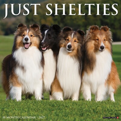 2027 Willow Creek Shelties 12 x 12 Monthly Wall Calendar, Assorted Colors (62302)