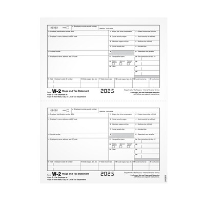 Adams 2026 W-2 Tax Form, 1-Part, Copy 1/D, 50/Pack (LW2ERQ)