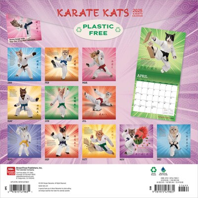 2025 BrownTrout Karate Cats 12" x 24" Monthly Square Wall Calendar, (9781975479831)