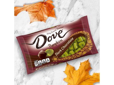 Dove Promises Pumpkins Bite-Size Dark Chocolate Pieces, 8.87 oz. (440837)
