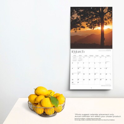 2025 BrownTrout North Carolina Wild & Scenic 12" x 12" Monthly Wall Calendar (9781975475444)