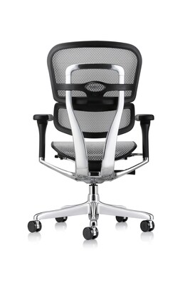 Eurotech Ergohuman Gen2 High Back Mesh Office Chair, Gray (ME8ERGLO-GEN2-GRY)