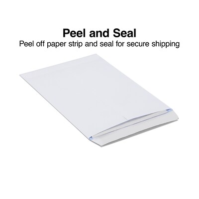 Staples Self Seal Security Tinted Catalog Envelopes, 9" x 12", White, 100/Box (21574)