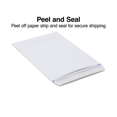 Staples Self Seal Security Tinted Catalog Envelopes, 9 x 12, White, 100/Box (21574)