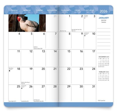 2026-2027 BrownTrout Chickens 3.5" x 6.5" Monthly Planner (9798330702886)