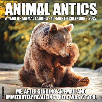 2027 Willow Creek Animal Antics 12 x 12 Monthly Wall Calendar, Assorted Colors (58787)