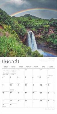 2025 BrownTrout Hawaii Wild & Scenic 12" x 12" Monthly  Wall Calendar (9781975474904)